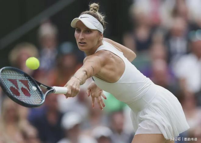 赛的平衡 赛的平衡